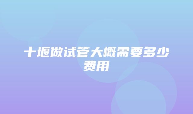 十堰做试管大概需要多少费用