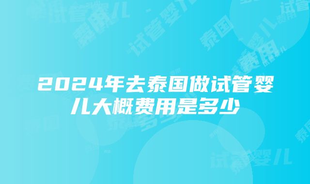 2024年去泰国做试管婴儿大概费用是多少