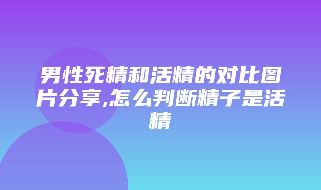 男性死精和活精的对比图片分享,怎么判断精子是活精