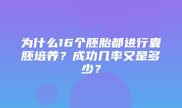 为什么16个胚胎都进行囊胚培养？成功几率又是多少？