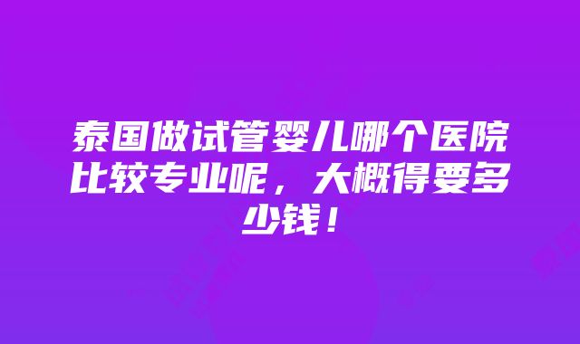 泰国做试管婴儿哪个医院比较专业呢，大概得要多少钱！