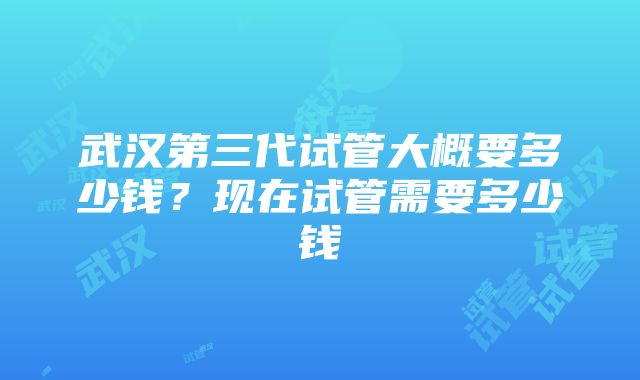 武汉第三代试管大概要多少钱？现在试管需要多少钱