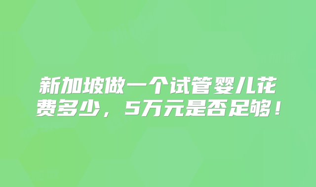 新加坡做一个试管婴儿花费多少，5万元是否足够！