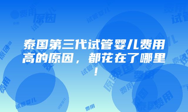 泰国第三代试管婴儿费用高的原因，都花在了哪里！