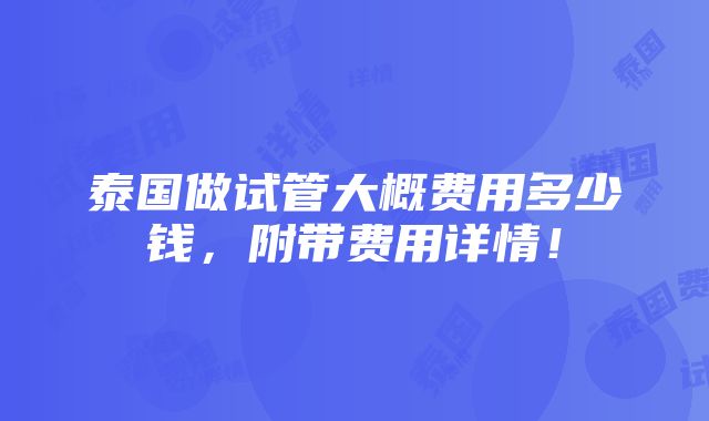 泰国做试管大概费用多少钱，附带费用详情！