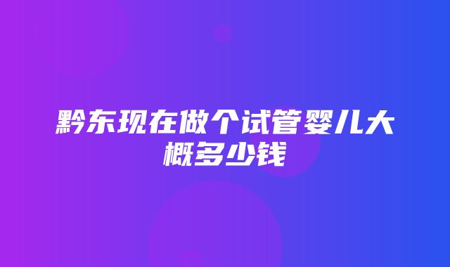 黔东现在做个试管婴儿大概多少钱