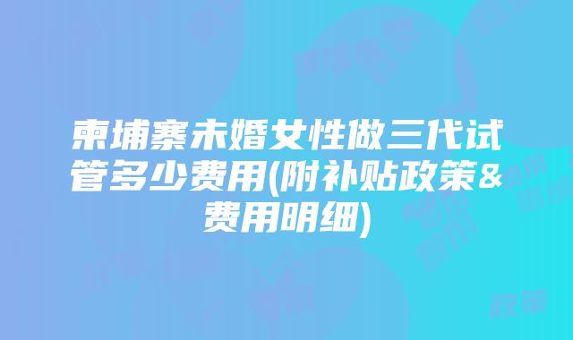 柬埔寨未婚女性做三代试管多少费用(附补贴政策&费用明细)