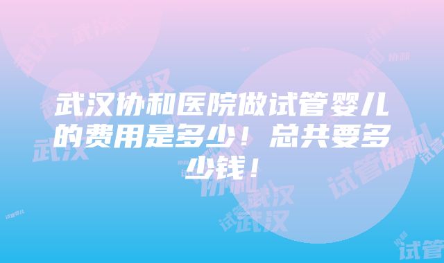 武汉协和医院做试管婴儿的费用是多少！总共要多少钱！