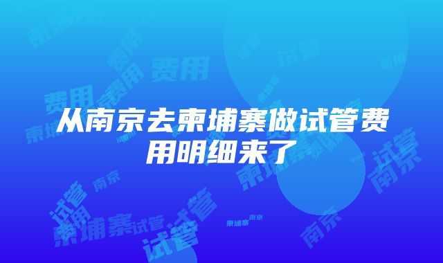 从南京去柬埔寨做试管费用明细来了