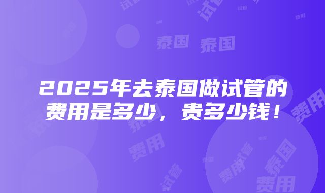 2025年去泰国做试管的费用是多少，贵多少钱！