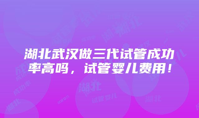 湖北武汉做三代试管成功率高吗，试管婴儿费用！