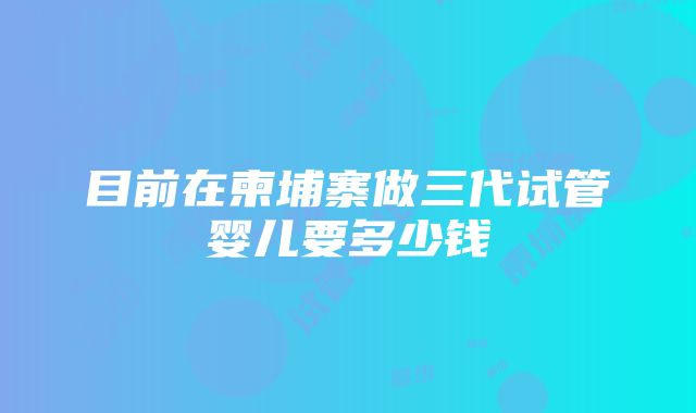 目前在柬埔寨做三代试管婴儿要多少钱