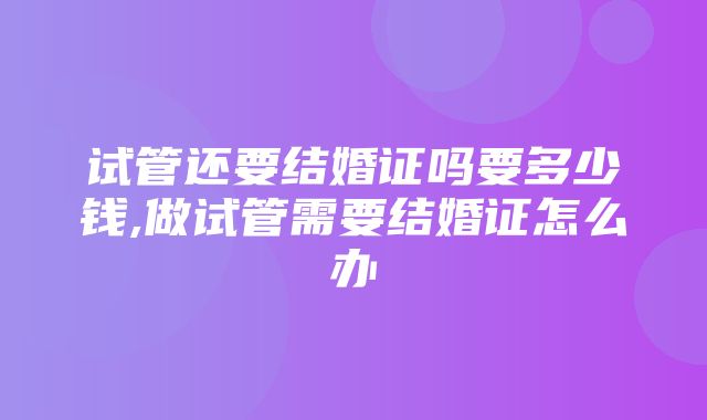 试管还要结婚证吗要多少钱,做试管需要结婚证怎么办