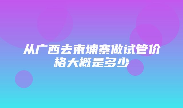 从广西去柬埔寨做试管价格大概是多少