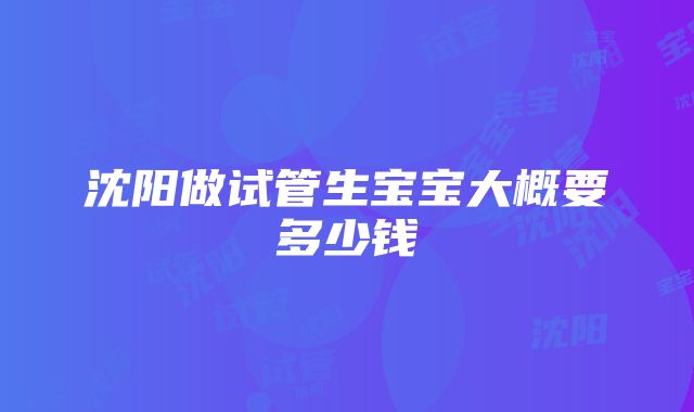 沈阳做试管生宝宝大概要多少钱