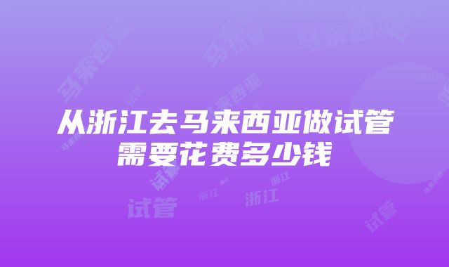 从浙江去马来西亚做试管需要花费多少钱