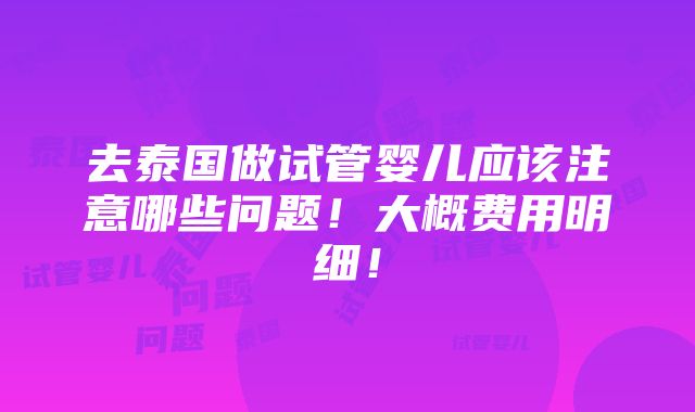 去泰国做试管婴儿应该注意哪些问题！大概费用明细！