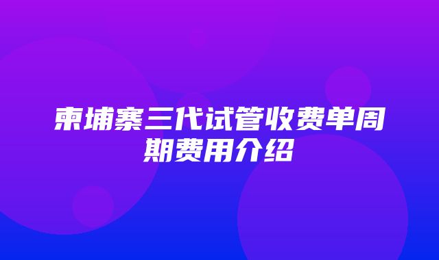 柬埔寨三代试管收费单周期费用介绍