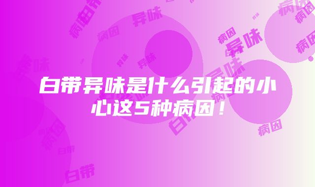 白带异味是什么引起的小心这5种病因！