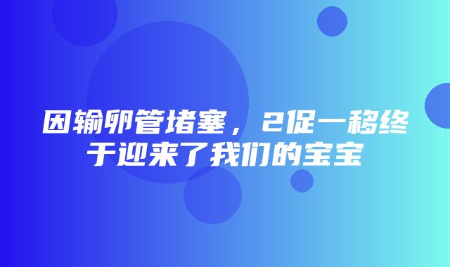 因输卵管堵塞，2促一移终于迎来了我们的宝宝