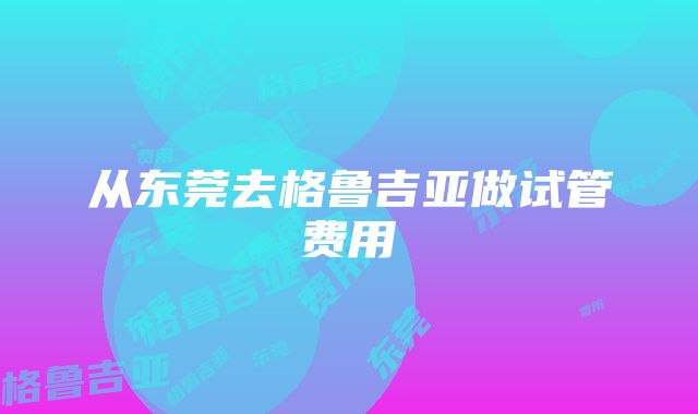 从东莞去格鲁吉亚做试管费用