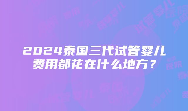 2024泰国三代试管婴儿费用都花在什么地方？