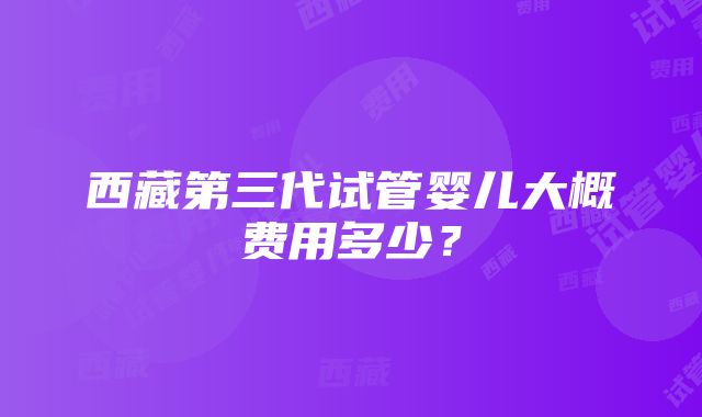 西藏第三代试管婴儿大概费用多少？