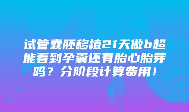 试管囊胚移植21天做b超能看到孕囊还有胎心胎芽吗？分阶段计算费用！