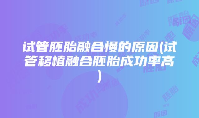 试管胚胎融合慢的原因(试管移植融合胚胎成功率高)