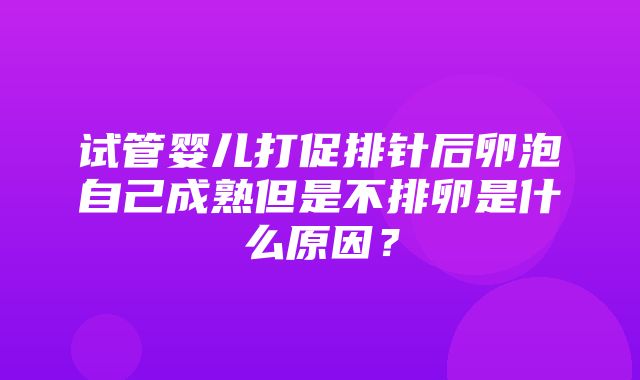 试管婴儿打促排针后卵泡自己成熟但是不排卵是什么原因？