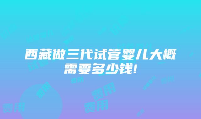 西藏做三代试管婴儿大概需要多少钱!