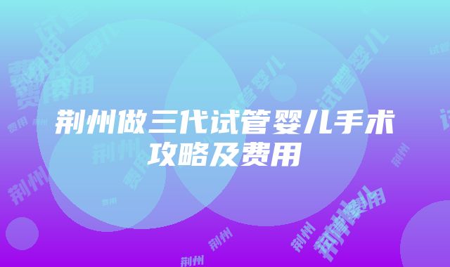 荆州做三代试管婴儿手术攻略及费用