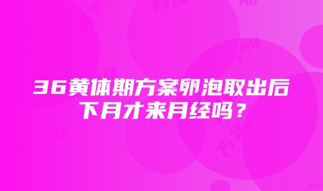 36黄体期方案卵泡取出后下月才来月经吗？