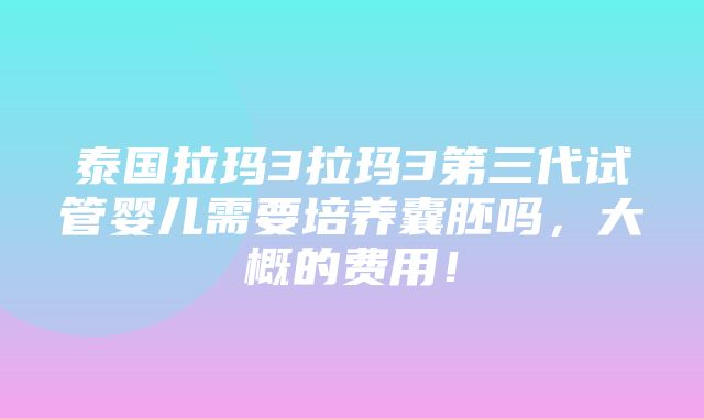 泰国拉玛3拉玛3第三代试管婴儿需要培养囊胚吗，大概的费用！