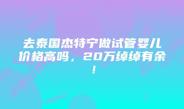 去泰国杰特宁做试管婴儿价格高吗，20万绰绰有余！