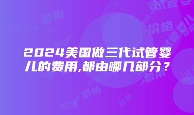 2024美国做三代试管婴儿的费用,都由哪几部分？