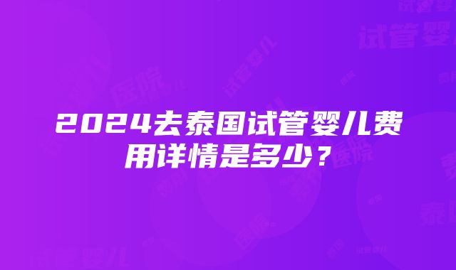 2024去泰国试管婴儿费用详情是多少？