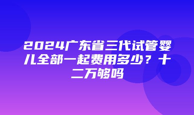 2024广东省三代试管婴儿全部一起费用多少？十二万够吗