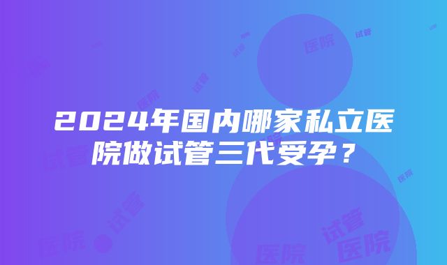 2024年国内哪家私立医院做试管三代受孕？