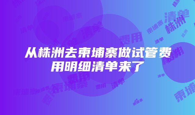 从株洲去柬埔寨做试管费用明细清单来了