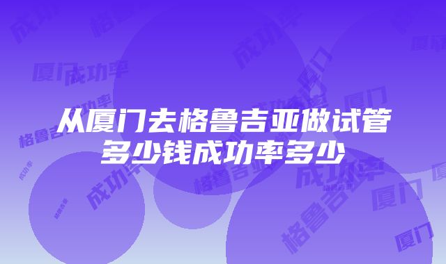 从厦门去格鲁吉亚做试管多少钱成功率多少