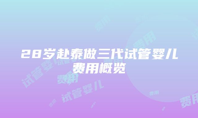 28岁赴泰做三代试管婴儿费用概览