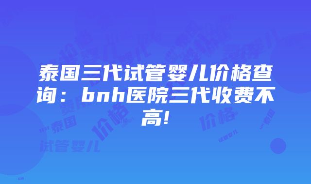 泰国三代试管婴儿价格查询：bnh医院三代收费不高!