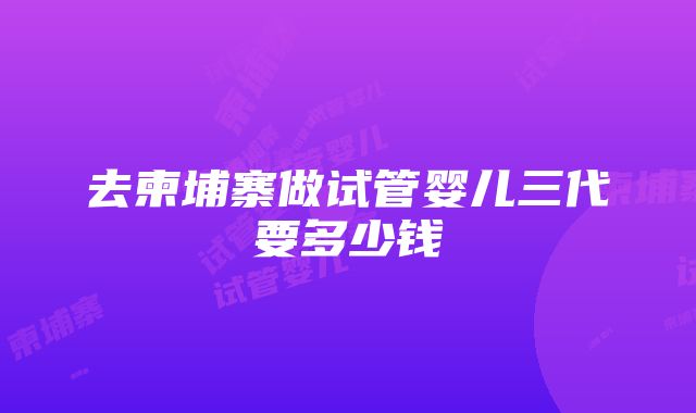 去柬埔寨做试管婴儿三代要多少钱