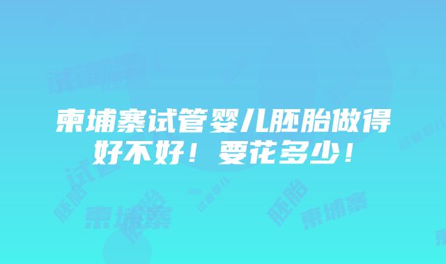 柬埔寨试管婴儿胚胎做得好不好！要花多少！