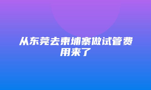 从东莞去柬埔寨做试管费用来了