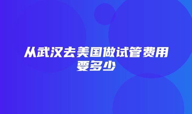 从武汉去美国做试管费用要多少