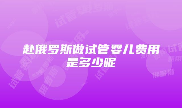 赴俄罗斯做试管婴儿费用是多少呢