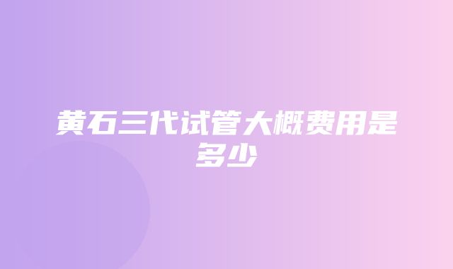 黄石三代试管大概费用是多少