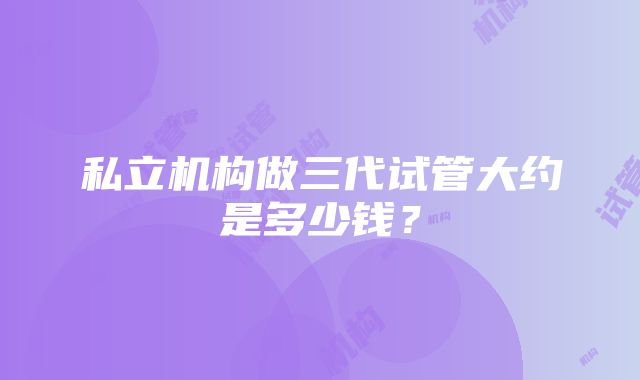 私立机构做三代试管大约是多少钱？